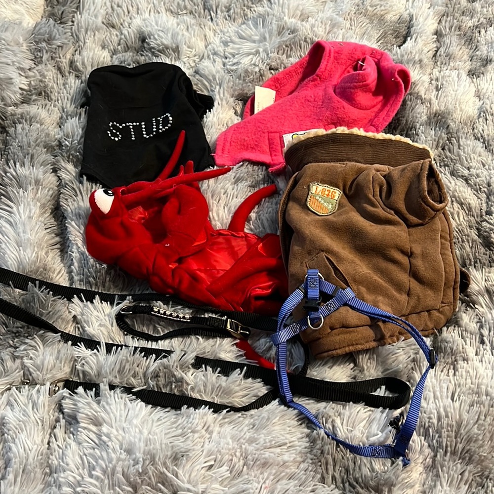 Extra small doggy bundle!